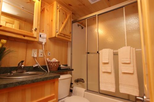 a bathroom with a shower and a toilet and a sink at Lakeland RV Campground Deluxe Loft Cabin 11 in Edgerton