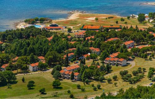 Amazing Apartment In Umag With Swimming Pool