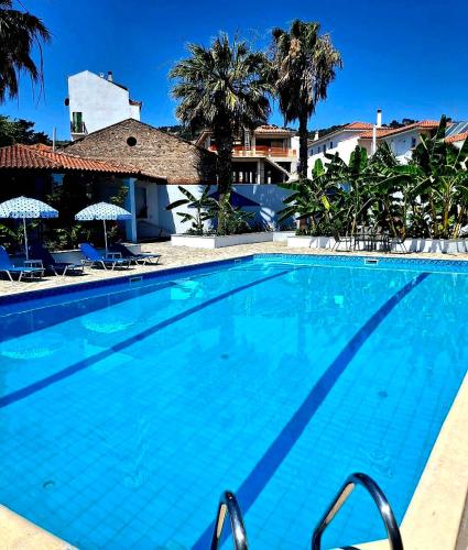 a large blue swimming pool with chairs and umbrellas at Dolphin Hotel in Skopelos Town