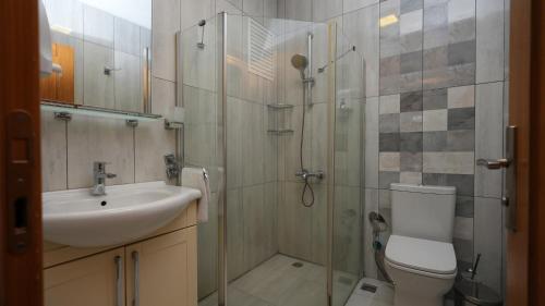 a bathroom with a shower and a sink and a toilet at CONCEPT HoUSE in Ankara