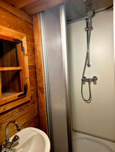 a bathroom with a shower and a sink at Augihütte in Abtenau