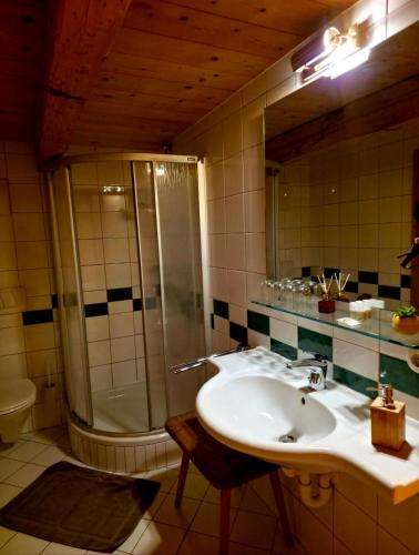 a bathroom with a sink and a shower at Kanzlei in Abtenau