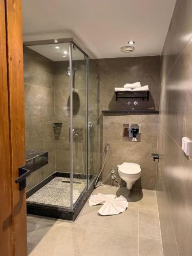 a bathroom with a shower and a toilet at The Grand Delta Hotel in Cairo
