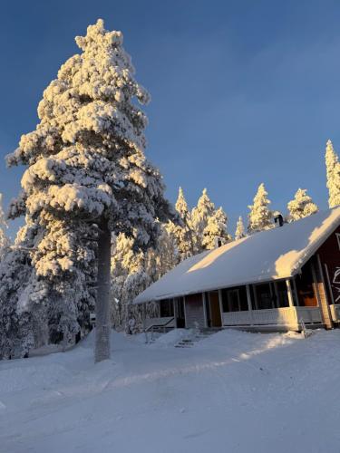 a house in the snow with a snow covered tree at Villa Peippo in Rovaniemi