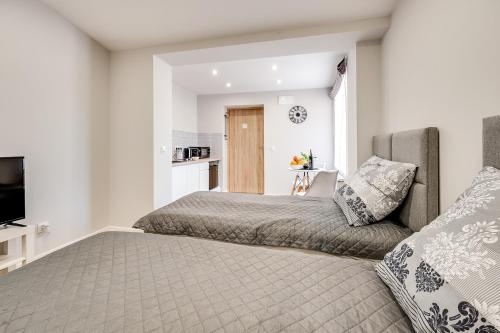 a bedroom with a bed and a television in it at Central Platinum Apartments 30 Studio z aneksem kuchennym in Rybnik