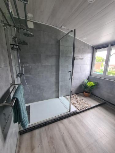 a shower with a glass door in a bathroom at Les malices d'Ulysse in Péronne