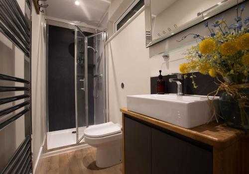 a bathroom with a sink and a toilet and a shower at City to Country Retreat Luxury Lodges with Hot Tub, BBQ, Fire Pit in Toppesfield