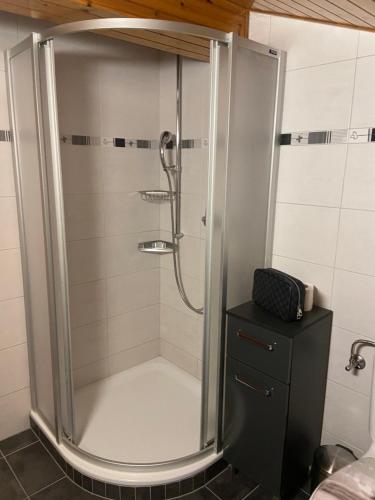 APPARTEMENT DE CHARME EN ATTIQUE dans UN PETIT CHALET