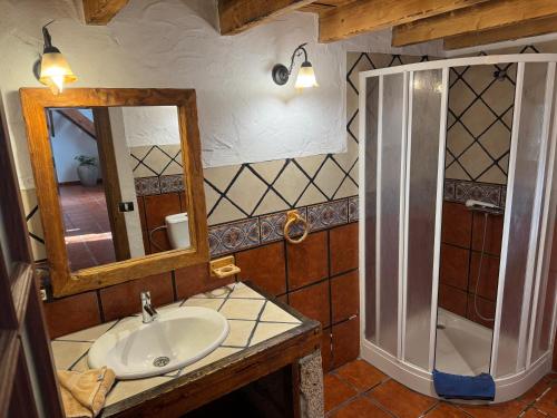 a bathroom with a sink and a mirror and a shower at Casa granero 2 in El Río