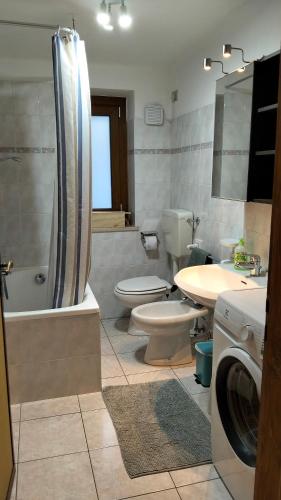 a bathroom with a toilet and a shower and a sink at La Cloche in Valtournenche