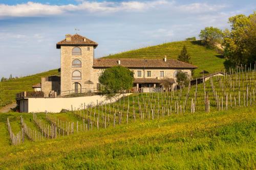 a house on top of a hill with a vineyard at I Tre Poggi Dimora di Charme in Canelli