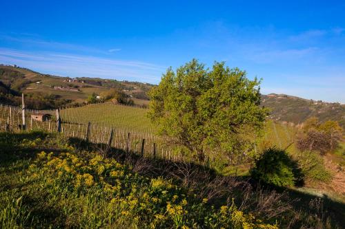 a field with a fence and a tree on a hill at I Tre Poggi Dimora di Charme in Canelli