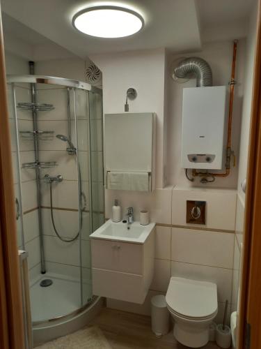 a bathroom with a shower and a toilet and a sink at Apartament 26 in Drawsko Pomorskie