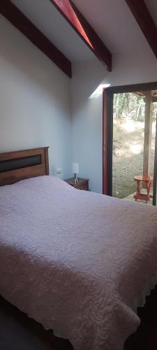 a bedroom with a large bed and a large window at Cafeteria y cabañas Eluney - Koigue in Pucón