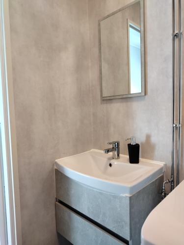 a bathroom with a white sink and a mirror at Björktorpet och Soltorpet in Lepplax