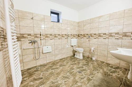 a bathroom with a toilet and a sink at Silver Cottage in Máriapócs
