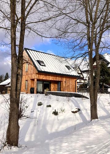 a wooden house in the snow with trees at Chaty Jagi in Czorsztyn