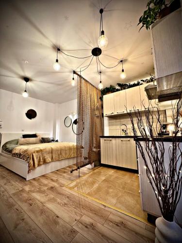a large bedroom with a bed and a kitchen at VerdeViu Apartments 2 Prima Green Residence in Oradea