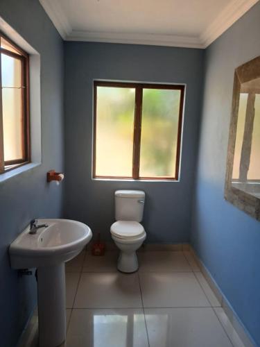 ein Badezimmer mit Toilette, Waschbecken und Fenster in der Unterkunft Ibokwe homested in Hillandale