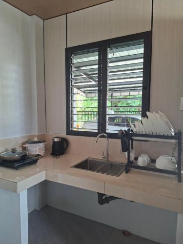 a kitchen counter with a sink and a window at Nancy's Place in Caniton