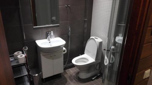 Kylpyhuone majoituspaikassa Apartment Villa Ylläs 201