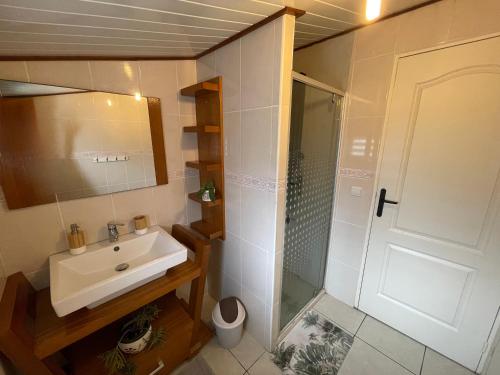 a small bathroom with a sink and a shower at Les volets de l'océan in Saint-Philippe