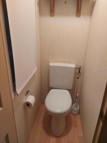 a small bathroom with a toilet and a roll of toilet paper at mobile home A15 in Boofzheim