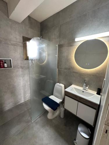 ein Badezimmer mit Toilette, Waschbecken und Dusche in der Unterkunft Evitas House in Paphos City