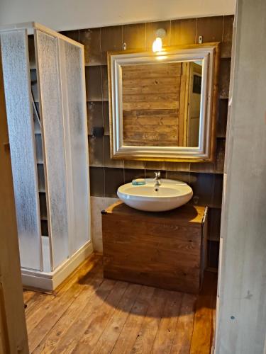 ein Badezimmer mit Waschbecken und Spiegel in der Unterkunft la sequoia in Castagneto Po