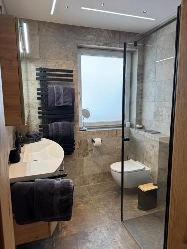 a bathroom with a toilet and a sink at Apartment Angela in Mittersill