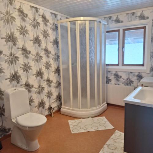 a bathroom with a shower and a toilet and a sink at Hus på landet nära sjö in Berga
