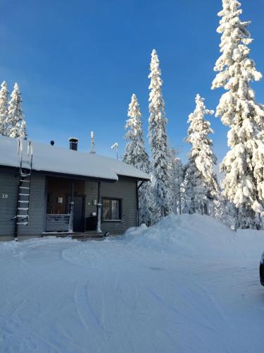 a house in the snow with snow covered trees at Aihki Pine Cottage, Iso-Syöte in Syöte