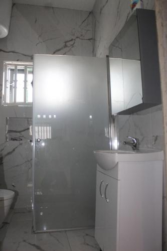 a bathroom with a shower and a sink and a toilet at MB Properties - situated behind Dalaba Estate about 500 meters from the famous OIC road in Madina Sey Kunda