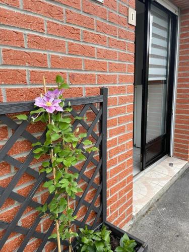 a brick building with a fence and a purple flower at studio meublé, résidence calme in Saint-Amand-les-Eaux