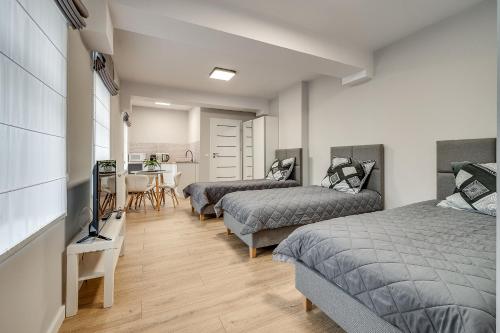 a bedroom with two beds and a television in it at Central Platinum Apartments 18 Studio z aneksem kuchennym i tarasem - 3 łóżka in Rybnik