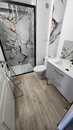 a bathroom with a sink and a toilet and a shower at Havre de Paix - Maisonnette Charmante avec Extérieur Privé in Blois