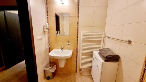 a small bathroom with a sink and a mirror at Bešeňová Apartment in Bešeňová