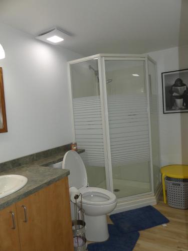 ein Badezimmer mit Toilette und Glasdusche in der Unterkunft Chambre privée dans logement partagé in Saint-Nazaire