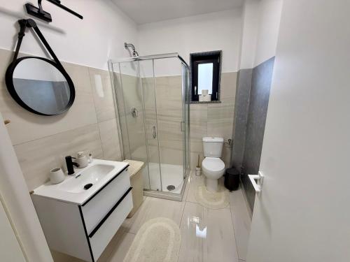 a bathroom with a shower and a toilet and a sink at visitor's house 3 in Rădăuţi