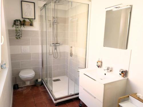 a bathroom with a shower and a toilet and a sink at Cottage l'Orée du Cher in Chissay-en-Touraine
