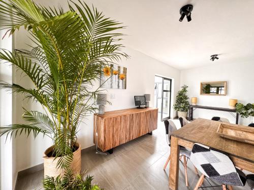 a dining room with a table and a palm tree at House Sworyx in Walvis Bay
