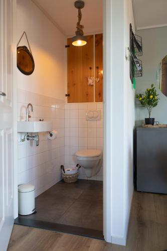 a bathroom with a sink and a toilet at In de Zeeuwse Schuur in Biggekerke