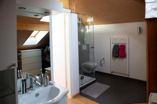 a bathroom with a shower and a sink and a toilet at City centre with lake view in Neuchâtel