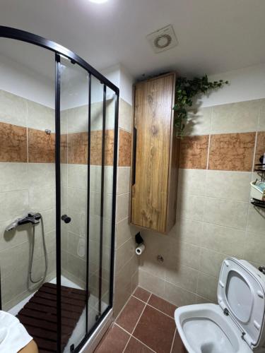 a bathroom with a shower stall and a toilet at Apartman Sunce in Budva