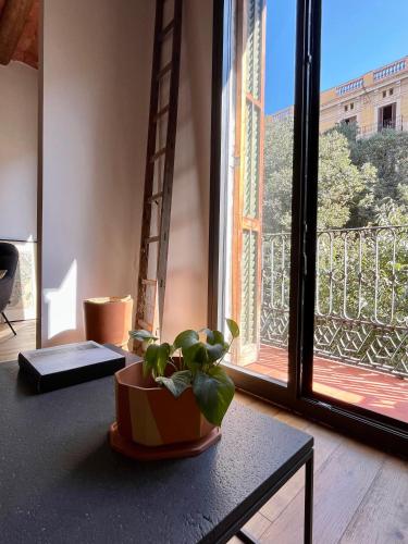 Spacious and cozy apartment