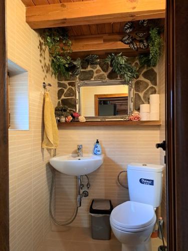 a bathroom with a toilet and a sink at River Garden in Beli Osŭm