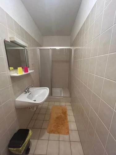 a small bathroom with a sink and a shower at Gasthof Vogelleitner in Sankt Aegyd am Neuwalde