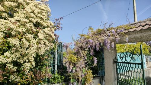 a building with flowers on the side of it at La Candelora Casa Vacanze in Ticchiena