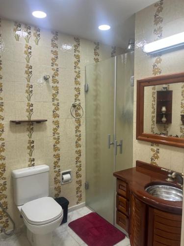 a bathroom with a toilet and a shower and a sink at Ap Centro - Wi-fi, Piscina, com Vista da Praça in Águas de Lindoia