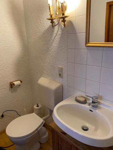 a bathroom with a white toilet and a sink at Schöne Tage im Denkmal in Bittstädt